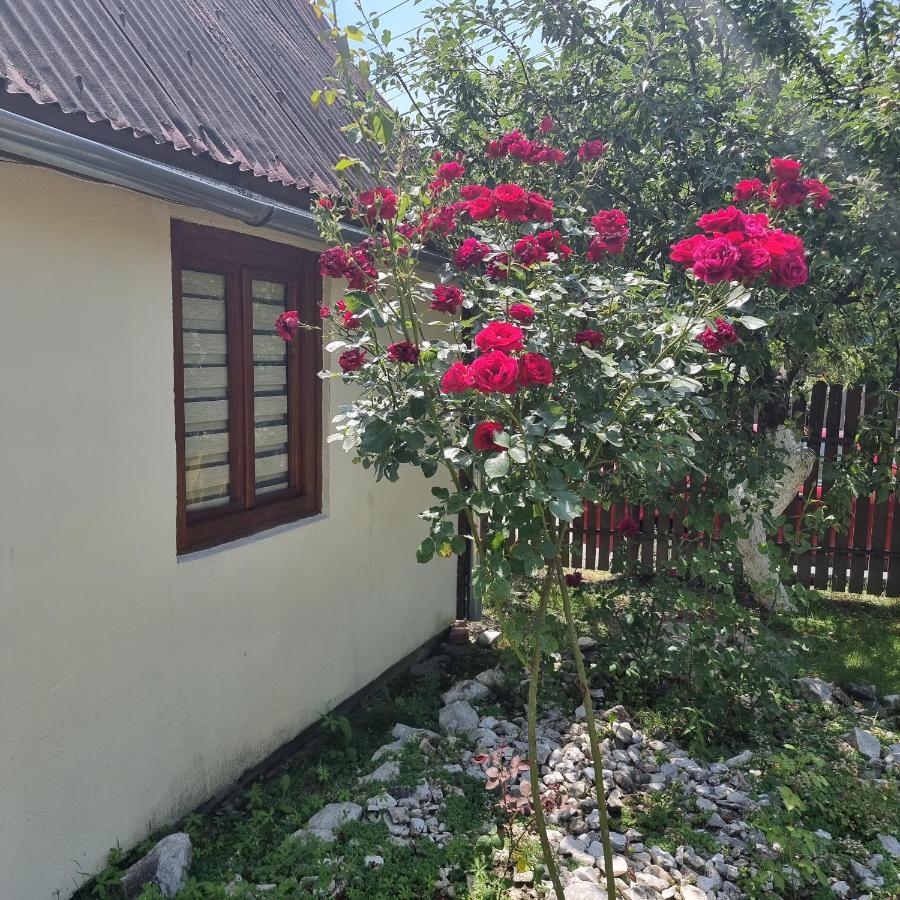 סובאטה Vila Paula & Spa מראה חיצוני תמונה